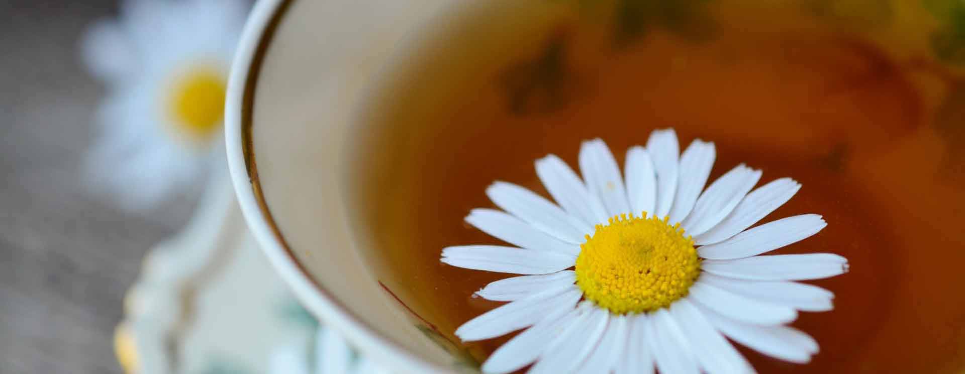 chamomile-829487.jpg